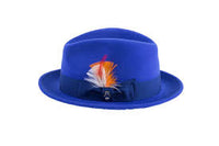 Men Fashion Hat-Trilby Royal - Church Suits For Less